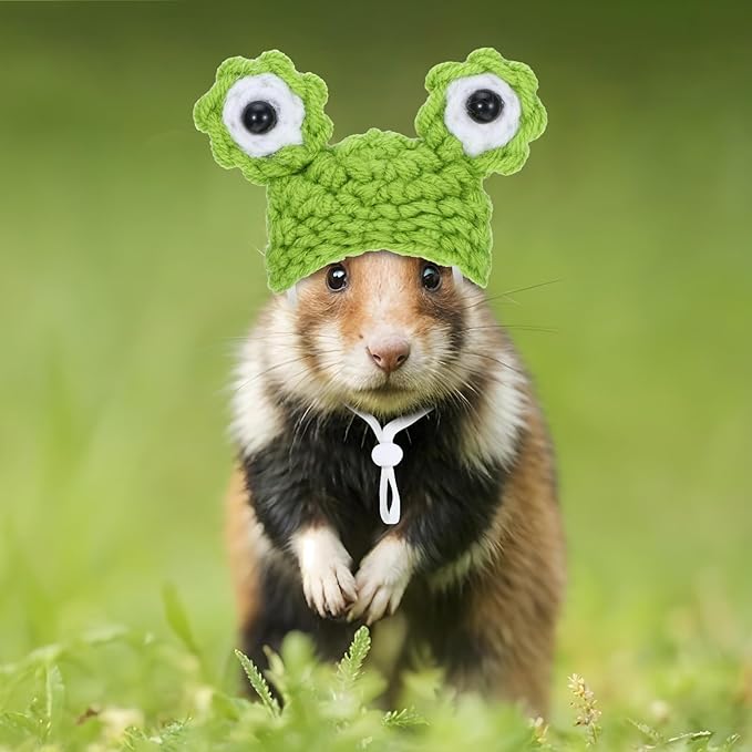 2 PCS Costume for Hamster Mini Knitted Pet Hats Mini Hats for Snakes Frog & Bunny Style Small Animals Cute Tiny Hat Knitted Small Animals Hat with Adjustable Strap for Guinea Pig Pets Holiday Party Xinjoduz
