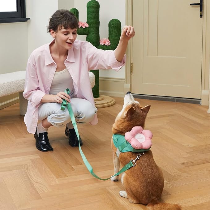 VETRESKA Flora Dog Harness, Leash and Collar Set, No Pull Dog Vest Harness for Walking and Training, Adjustable, Easy Control and Soft Padded Pet Harness and Backpack for Small Medium Large Dogs, XS - PAWPICO