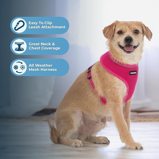 Voyager Aerolite No Pull Mesh Dog Harness with Lightweight, Soft, Breathable, Reflective Stitching, and Adjustable Straps for Walking, Running, Training, Heavy Duty and Durable - Fuchsia, M BestPetSuppliesLLC
