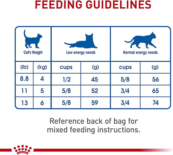 Royal Canin Indoor Adult Dry Cat Food, 15 lb bag - PAWPICO