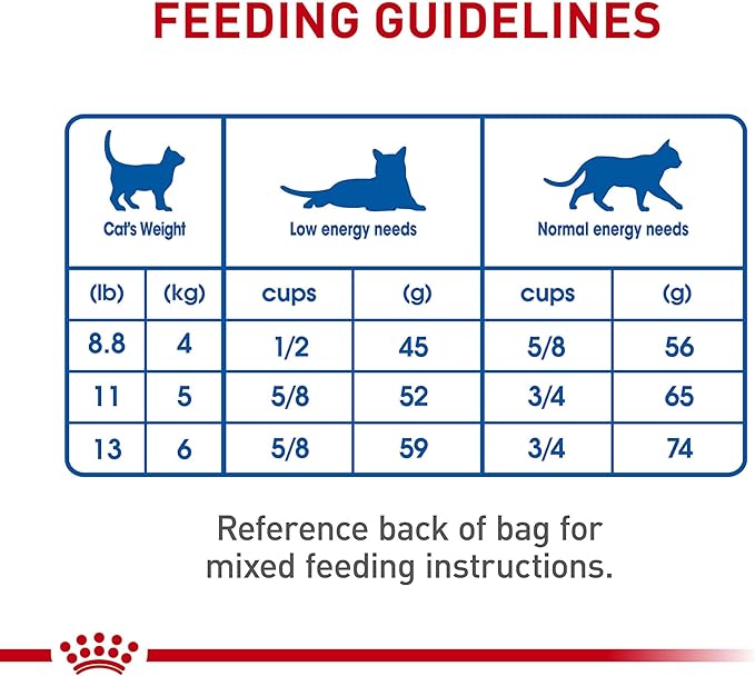 Royal Canin Feline Health Nutrition Dry Indoor Cat Food, Supports Healthy Weight, Digestive Health and Hairball Management, 3 lb Bag - PAWPICO