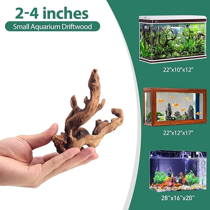 WDEFUN Natural Driftwood for Aquarium Decor, 10-Piece 2''-5'' Small Driftwood for Decorations on Fish Tank, Reptiles Bearded Dragon Accessories or Air Plants WDEFUN