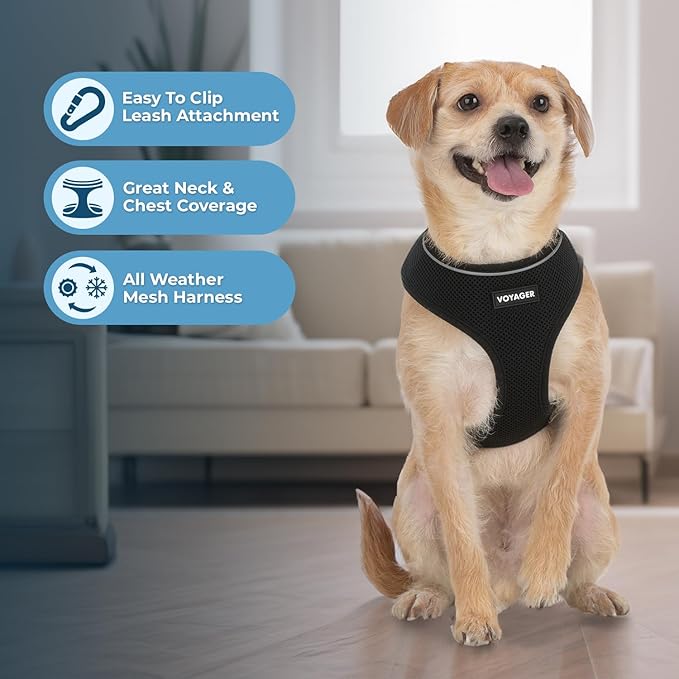 Voyager Aerolite No Pull Mesh Dog Harness with Lightweight, Soft, Breathable, Reflective Stitching, and Adjustable Straps for Walking, Running, Training, Heavy Duty and Durable - Black, L BestPetSuppliesLLC