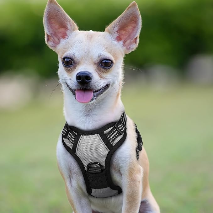 rabbitgoo Dog Harness No Pull with 2 Leash Clips, Adjustable Soft Padded, Reflective Oxford No Choke Pet Vest with Easy Control Handle for Puppy, Grey, XS rabbitgoo