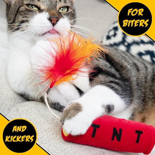 Cat Toys TNT, Cat Toys for Indoor Cats, Kitten Toys, Catnip Toys for Cats of All Breeds with Dangle Feathers and Jingle Sound - Kicking, Biting, Chewing - PAWPICO
