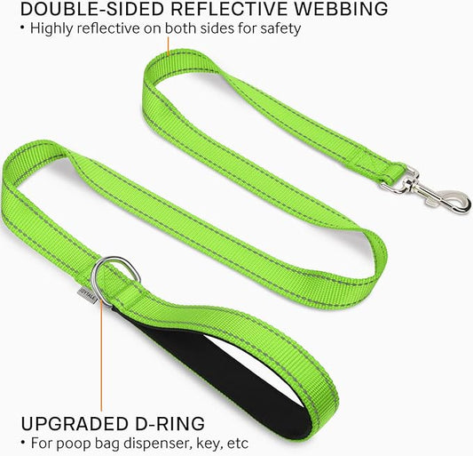 Joytale Double-Sided Reflective Dog Leash, 6 FT/5 FT/4 FT, Padded Handle Nylon Heavy Duty Leashes for Small & Medium Dogs Walking, Green, 4FT Joytale