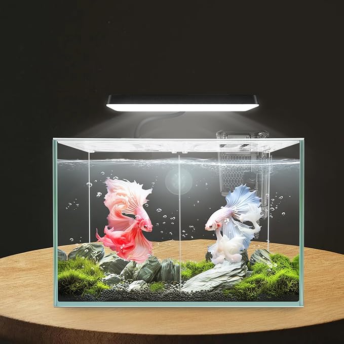 3 Gallon 12.6" L Fish Nano Glass Aquarium, with Separator Plate for Betta, Multi-Functional Square Fish Tank with Filter, LED Light, White 4mm Glass iPriro