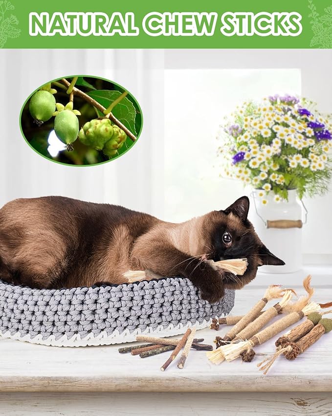 TINDTOP Catnip Chew Toys for Cats, 12 Pack Natural Silvervine Sticks for Kittens Teeth Cleaning, Matatabi Dental Care, Increase Appetite, Calm Cat Anxiety and Stress, Aggressive Chewers Cat Dental Toy - PAWPICO