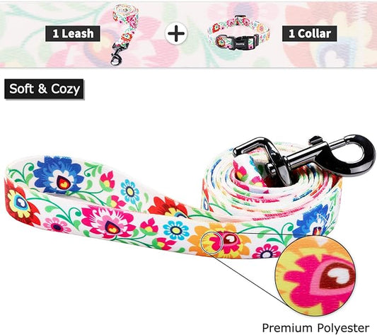 Ihoming Dog Collar and Leash Set for Daily Outdoor Walking Running Training, White Colorful Flowers Design for Large Boys Girls Dogs Cats Pets, L-Up to 80LBS Ihoming
