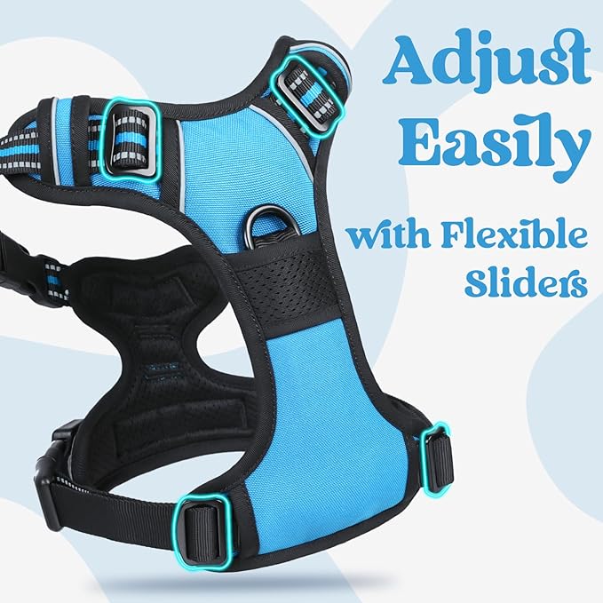 rabbitgoo Dog Harness for Large, No Pull Pet Harness with 3 Buckles, Adjustable Soft Padded Pooch Vest with Instant Control Handle, Easy Walking Reflective Pet Vest for Extra Large Dogs, Sky Blue, XL rabbitgoo