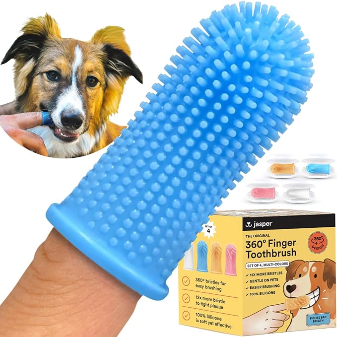 Jasper Dog Toothbrush, 360º Dog Tooth Brushing Kit, Cat Toothbrush, Dog Teeth Cleaning, Dog Finger Toothbrush, Dog Tooth Brush for Small & Large Pets, Dog Toothpaste Not Included, 4-Pack Multicolor JASPER%C2%AE