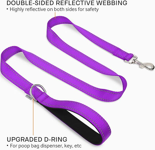 Joytale Double-Sided Reflective Dog Leash, 6 FT/5 FT/4 FT, Padded Handle Nylon Heavy Duty Leashes for Medium & Large Dogs Walking, Purple, 4FT Joytale