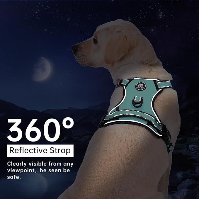 IVY&LANE No Pull Dog Harness with Leash Set, Reflective No Choke Pet Vest,Adjustable Oxford Dog Vest Harness with Easy Control Handle for Large Dogs (Turquoise,XL) IVYLANE