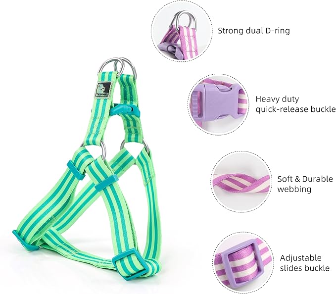 Striped Dog Harness Collar and Leash Set, Polyester Webbing Dog Collar Easy Walking and Training Dog Harness and Leash 3-in-1 Suit Adjustable Dog Harness Collar Leash Set for Dogs(Green, S) Tiffpaws