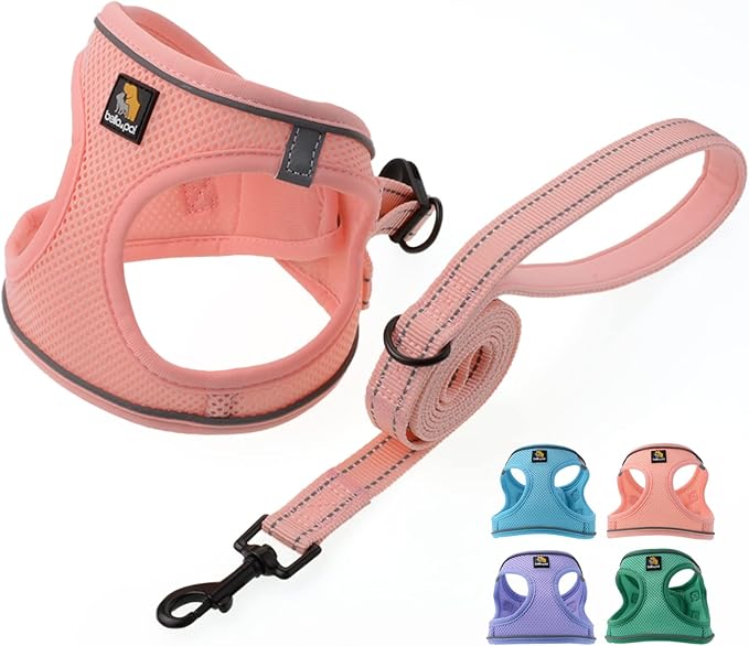 BELLA & PAL Puppy Harness with Leash Set, Dog Harness for Small Dogs No Pull, Dog Leash for Small Dogs, Step in Harness for Extra Small Dogs, Pink Harness, XS BELLAPAL