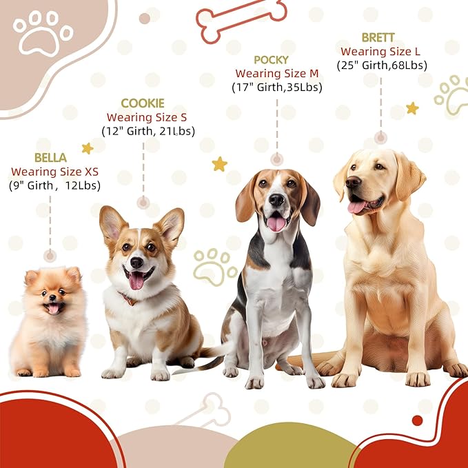 Tri-Color Dog Harness, Adjustable Step-in Design No Pull Dog Harness for Medium Dogs No Pull, Heavy Duty Puppy Harness, Easy for Walking Dog Harness Medium Size Dog Red Yellow White Pawhuggies