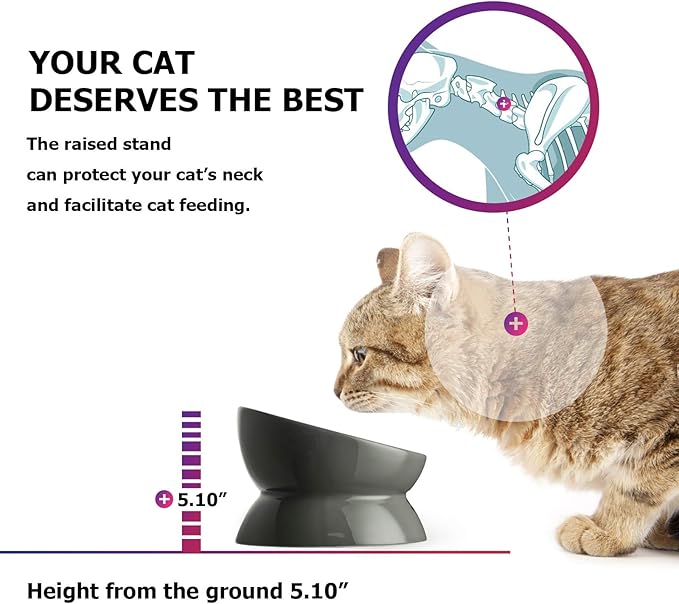 Y YHY Dog Food Bowl, Raised Dog Bowls Anti Vomiting, 7 Inch Tilted Elevated Dog Bowl, Ceramic Pet Food Bowl for Small Medium Large Dogs and Cats, Grey - PAWPICO