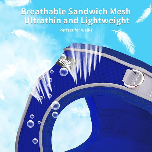 AIITLE Step in Dog Harness and Leash Set - Spring No Pull Escape Proof Vest Harnesses with Soft Mesh and Reflective Bands, Adjustable Pet Outdoor Harnesses for Small and Medium Dogs Royal Blue M AIITLE-FORPETSBETTERLIFE