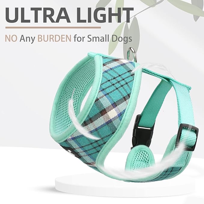 PUPTECK Soft Mesh Dog Harness and Leash Set Pet Puppy Cat Comfort Padded Vest No Pull Harnesses, Green, XS PUPTECK