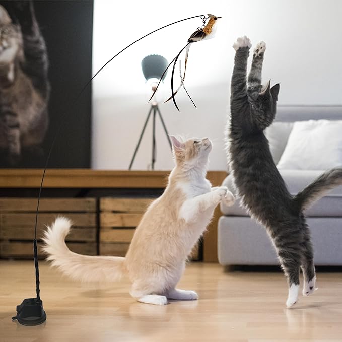Interactive Suction Cup Cat Toy for Indoor Cat, Long Tail Feather Bird, Spring Wire Suctions to Ground, Hands Free Bird Simulation Cat Toy Wand Set that Sticks to Floor, Feathers & Bells - PAWPICO