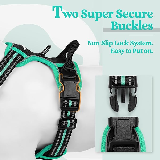 rabbitgoo Dog Harness No Pull with 2 Leash Clips, Adjustable Soft Padded, Reflective Oxford No Choke Pet Vest with Easy Control Handle for Large Dogs, Black & Turquoise, XL rabbitgoo