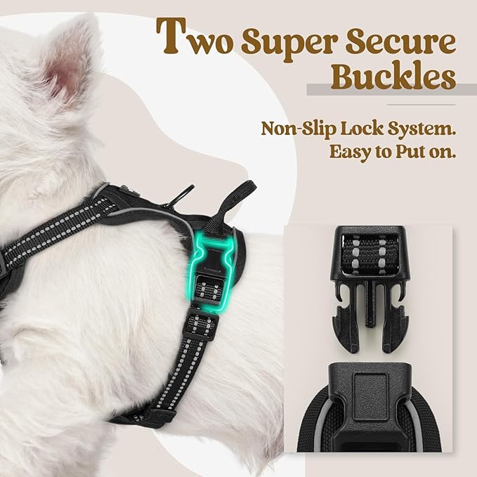 rabbitgoo Dog Harness No Pull with 2 Leash Clips, Adjustable Soft Padded, Reflective Oxford No Choke Pet Vest with Easy Control Handle for Puppy, Black, XS rabbitgoo