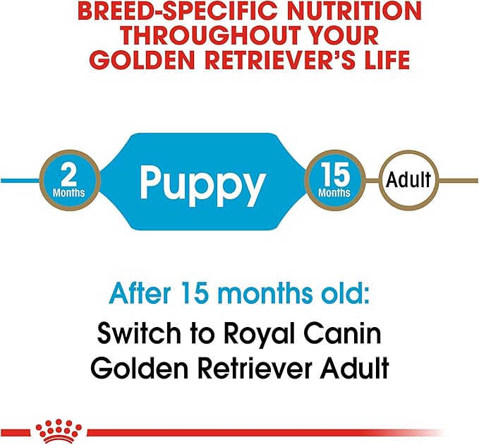 Royal Canin Golden Retriever Puppy Dry Dog Food, 30 lb bag - PAWPICO