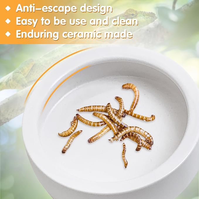 Tfwadmx 2 Pack Reptile Food Bowl, Ceramic Water Feeder Bowl, Reptile Worm Feeding Dish for Lizard Turtle Bearded Dragon Anoles Crested Gecko Hermit Crab Leopard Gecko Chameleon Corn Snake Tfwadmx