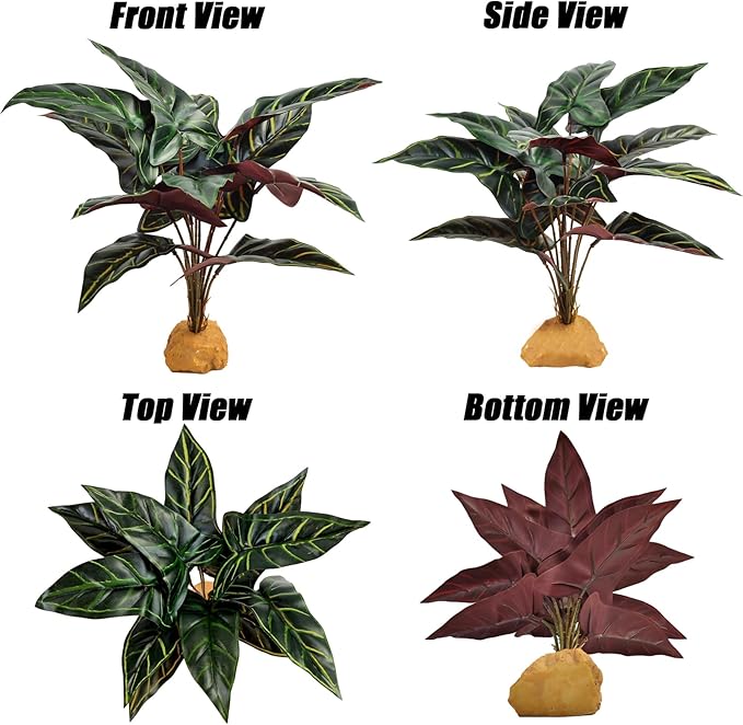 Woyrise Reptile Artificial Plants for Terrarium Decor, Amphibian Habitat Decorations Bearded Dragon Tank Accessories fit Crested Gecko Leopard Lizard Chameleon Ball Python Snake Frog - Fake Alocasia Woyrise
