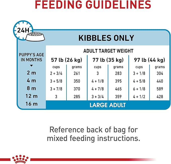 Royal Canin Size Health Nutrition Dry Large Breed Puppy Food, Supports Brain Development, Immune Support and Digestive Health, 30 lb Bag - PAWPICO