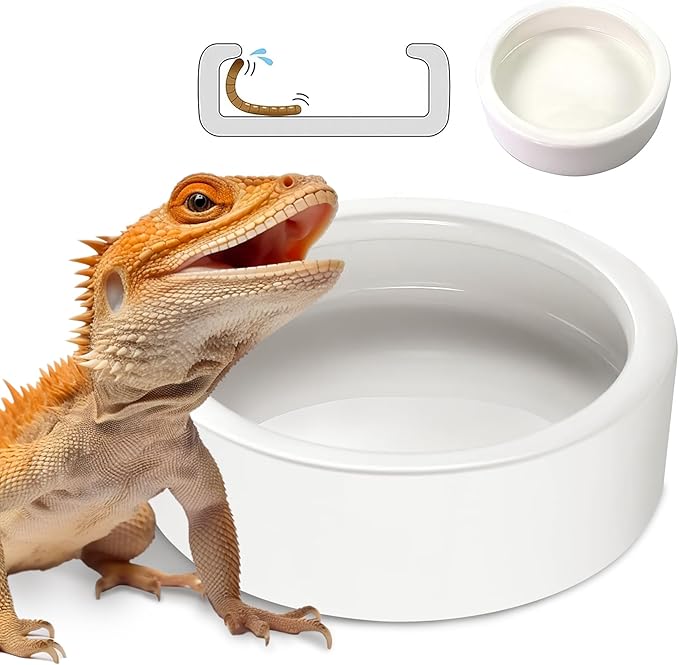 Reptile Food Bowl Dish - Worm Dish Reptile Water Bowl Lizard Gecko Ceramic Pet Bowls, Mealworms Dish for Bearded Dragon Chameleon Hermit Crab Dubia Cricket Dish Anti-Escape Mini Reptile Feeder XL(5in) HELIME