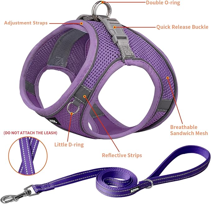 AIITLE Dog Harness, Spring No-Pull Cat Harness with a Leash, Adjustable Reflective Dog Vest, Cat Harness Escape Proof, Outdoor Walking, Camping for Extra Small Dogs and House Cats Pure Purple XXXS AIITLE-FORPETSBETTERLIFE