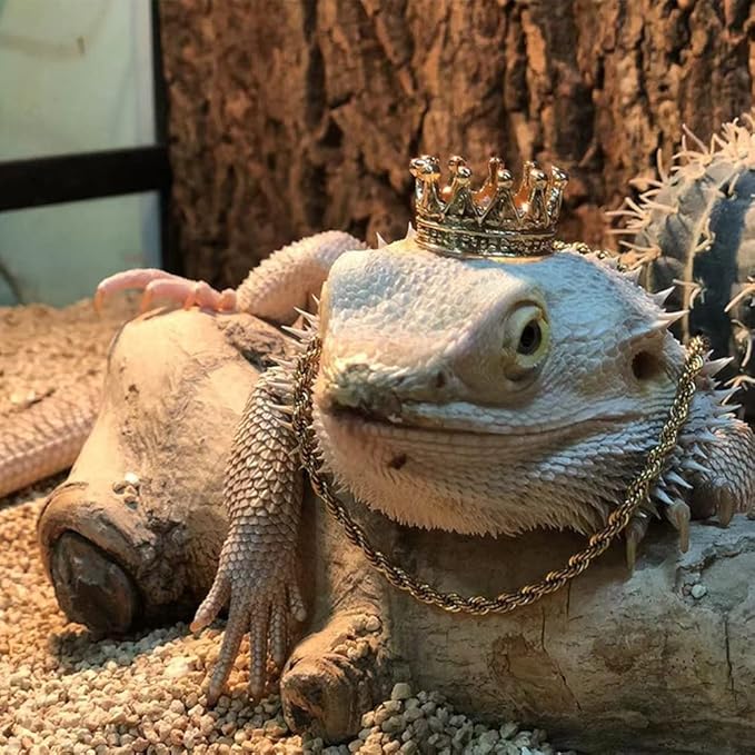 2Pcs Lizard Crown Necklace Set Metal Lizard Outfit Reptile Clothes Accessories Lizard Photo Props for Bearded Dragons Iguana Amphibians and Other Small Animals (Gold) KUNBIUH