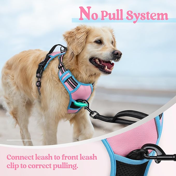 rabbitgoo Dog Harness No Pull with 2 Leash Clips, Adjustable Soft Padded, Reflective Oxford No Choke Pet Vest with Easy Control Handle for Medium Sized Dogs, Pink & Blue, M rabbitgoo