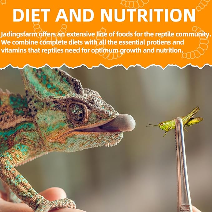 6 Pack Canned Grasshoppers for Reptiles, Fish, Birds and Small Animals, Grasshoppers, Healthy High Protein Treat, Bearded Dragon Food 1.2 Ounces Each Jadingfarm