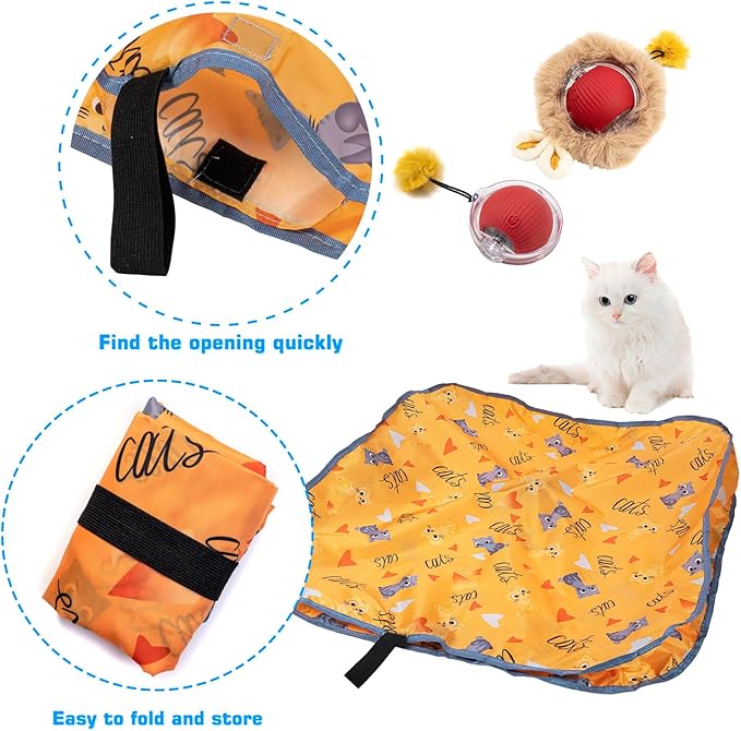 ZNZ Interactive Cat Toys for Indoor Cats, Motion Activate Cat Toy with Mat, Rechargeable Cat Hunting Toy, Hide and Seek Cat Toy for Kitten & Adult Cat - PAWPICO