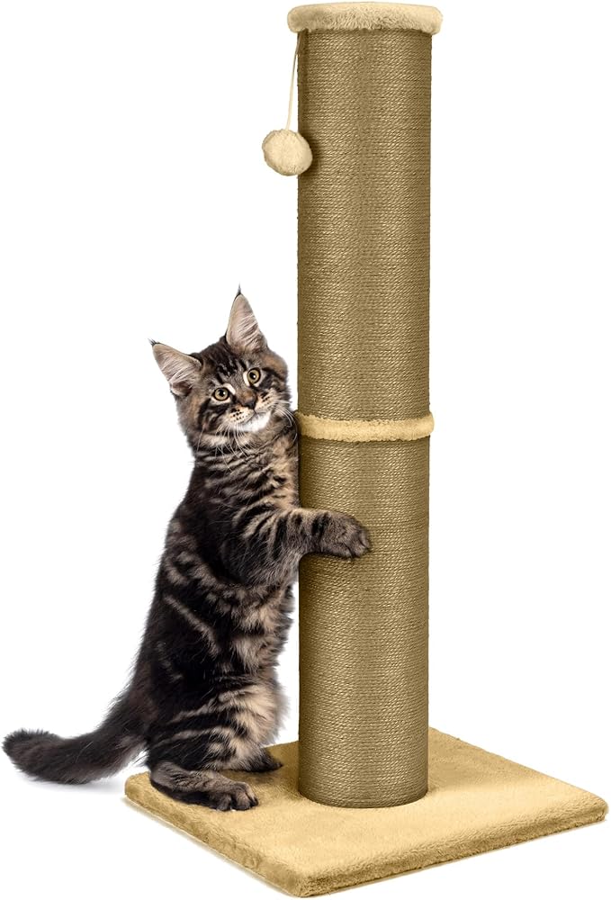 PAWSCRAT Cat Scratching Post 32 Inch High, 5.5 Inch Large Diameter Natural Sisal Cat Scratch Post, Scratch-Resistant and Durable Tall Cat Scratcher for Indoor Cats, Protect Your Furniture, Yellow - PAWPICO