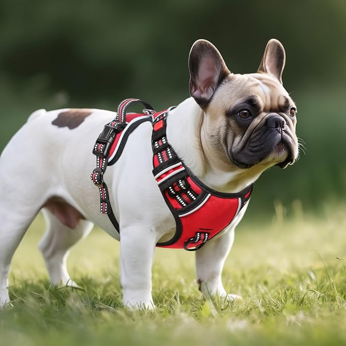 Timos Dog Harness Small Sized, No Pull Dog Harness with Neck Lockable Snap,No Choke Front Clip Dog Reflective Harness,Adjustable Metal Rings 3 Buckles,Easy Control Handle for Small Dogs Red S Timos