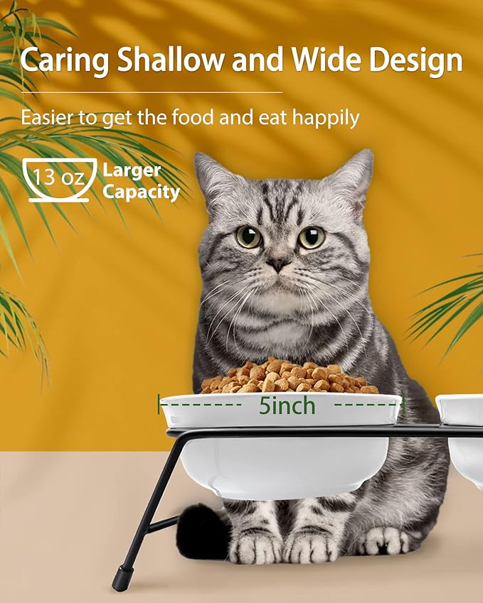 Cat Bowls, Upgraded 13 oz Ceramic Elevated Cat Food Bowls for Food and Water, Raised 2 Cat Dishes with Stainless Steel Stand Non-Slip and Anti-Rust, for Indoor Cats and Small Dog Bowl, Dishwasher Safe - PAWPICO