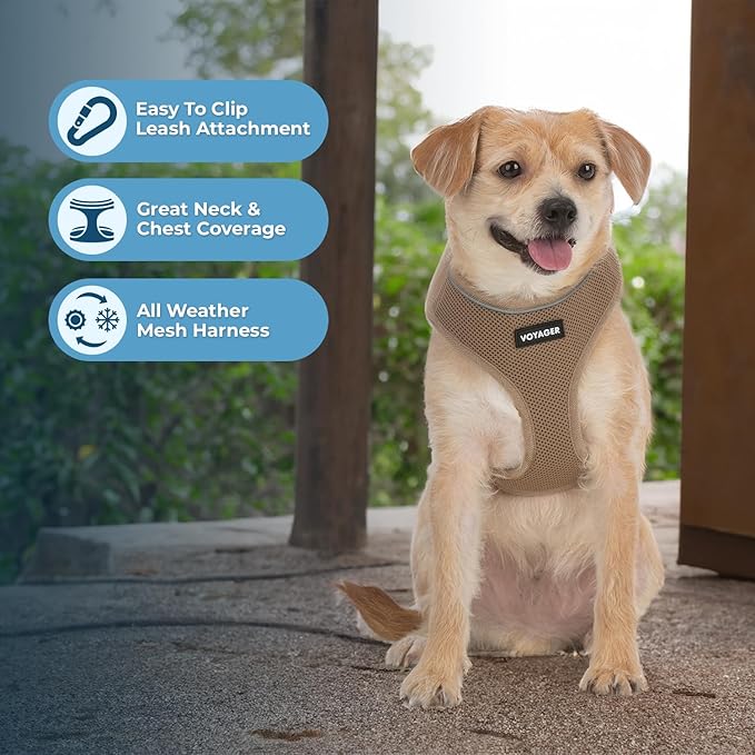 Voyager Aerolite No Pull Mesh Dog Harness with Lightweight, Soft, Breathable, Reflective Stitching, and Adjustable Straps for Walking, Running, Training, Heavy Duty and Durable - Beige, XS BestPetSuppliesLLC