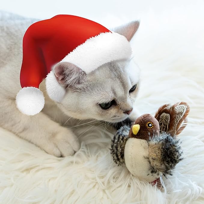 Gigwi Chirping Bird Cat Toys for Indoor Cats, Interactive Cat Toy with Real Electronic Squeaky Sound and Feather, Kitten Toys Automatic Cat Toy for Cat Exercise & Kicker to Self Play, Relieve Boredom - PAWPICO