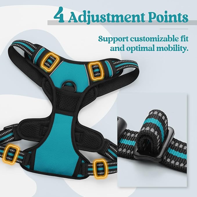 rabbitgoo Dog Harness No Pull with 2 Leash Clips, Adjustable Soft Padded, Reflective Oxford No Choke Pet Vest with Easy Control Handle for Medium Sized Dogs, Teal, M rabbitgoo