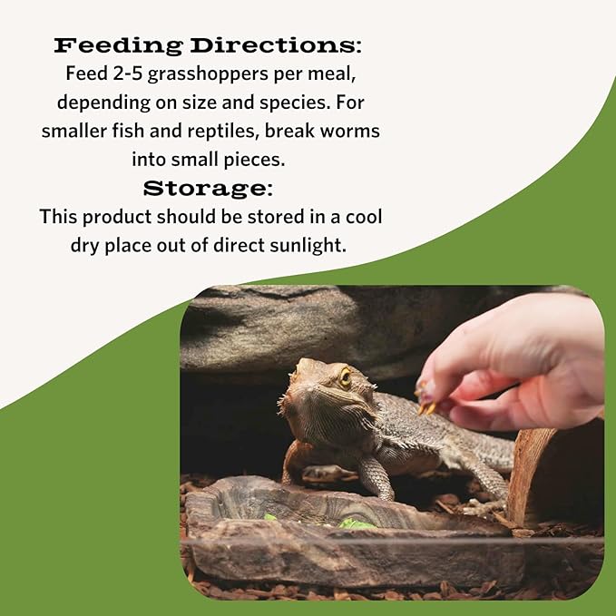 Fluker's Freeze Dried Grasshoppers, Nutrient-Packed, Ideal for Lizards, Reptiles, Birds, Fish, Hedgehogs, 1.7 oz Flukers