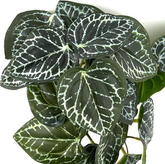 Reptile Plants for Terrarium, Amphibian Habitat Decor Artificial Hanging Plants with Suction Cup - Fake Anthurium Crystallinum WOLEDOE