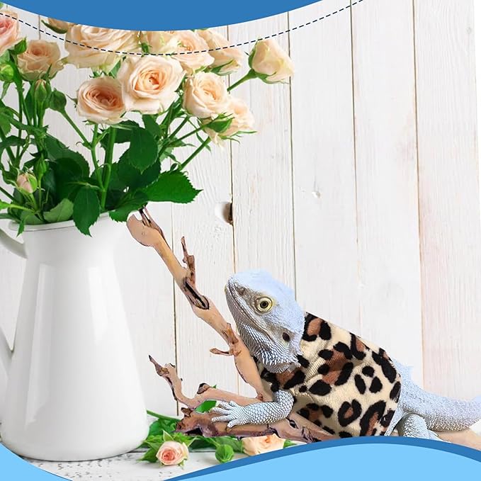 Lizard Clothes Bearded Dragon Hoodie Sweater Jacket Small Pet Costume Flannel Apparel for Reptiles Party Cosplay Props Chameleon Outfit Reptile Clothing Accessories HOKABLE