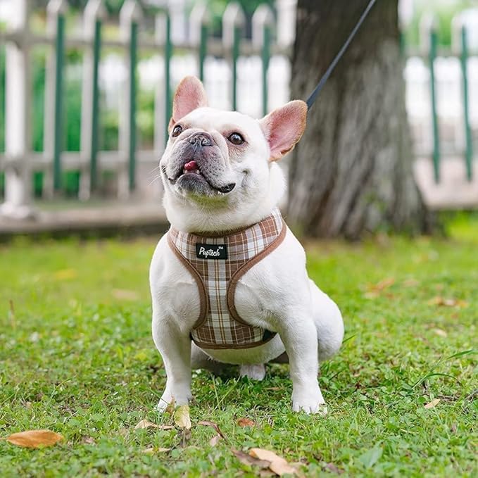 PUPTECK Soft Mesh Dog Harness and Leash Set Pet Puppy Cat Comfort Padded Vest No Pull Harnesses, Brown, XS PUPTECK