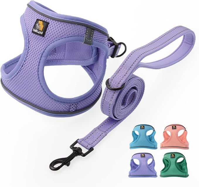 BELLA & PAL Puppy Harness with Leash Set, Dog Harness for Small Dogs No Pull, Dog Leash for Small Dogs, Step in Harness for Extra Small Dogs, Purple Lavender Harness, M BELLAPAL