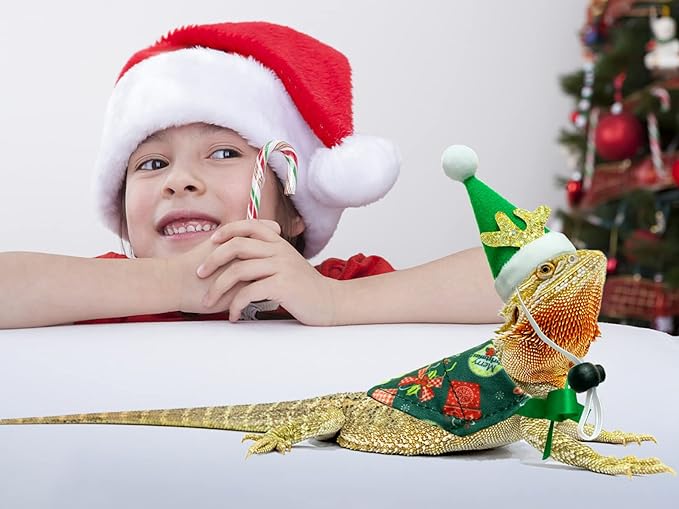 Vehomy Bearded Dragon Outfit, 4Pcs Christmas Costume Accessories - Santa Hats with Elk Horns & Reversible Bandanas for Hamster, Leopard Gecko, Guinea Pig Vehomy