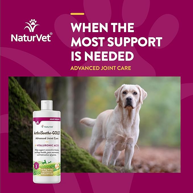 NaturVet – ArthriSoothe-Gold Advanced Care Liquid | Level 3 Advanced Joint Care | Supports Healthy Hip & Joint Function | Enhanced with Glucosamine, MSM & Chondroitin | For Dogs & Cats | 16 oz Liquid NaturVet
