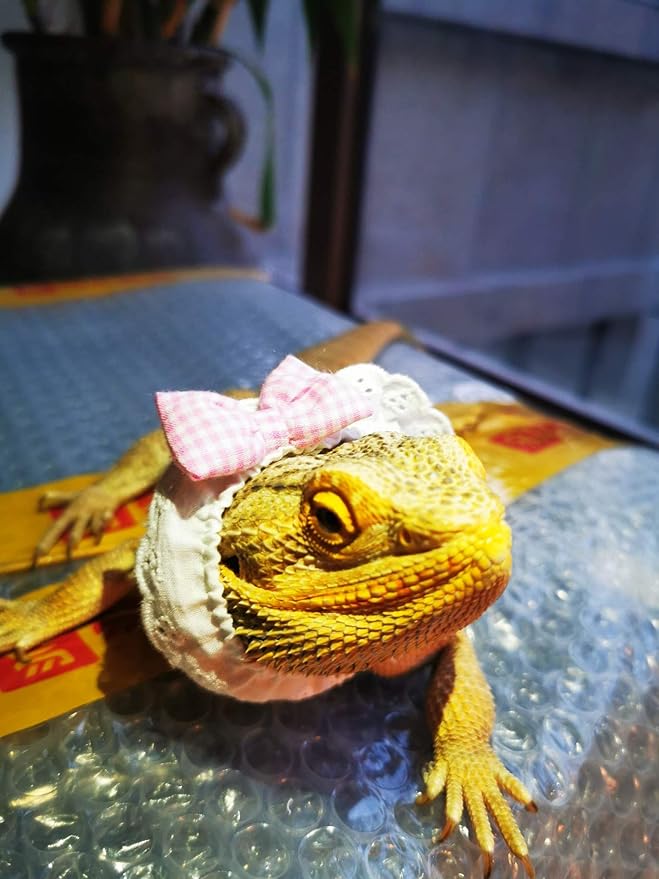 Lizard Bearded Dragons Stretchy Pink White Plaid Bowtie with Elastic Lace Decor Handmade Bowknot Collar Bandanas Costume Reptile Apparel Photo Gift Lizard Clothes Accessories for Bearded Dragon HAICHENTEC